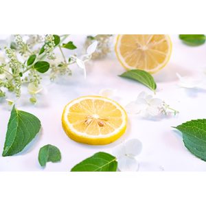 Bio-Safe-One-Inc-Lemongrass-soap-1x-Front-organic-soap-Lemongrass-soap-All-natural-soap-handmade-soap-bali-soap-dove-soap-bar1