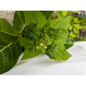 Bio-Safe-One-Inc-Patchouli-Power-soap-1x-Front-organic-soap-Patchouli-soap-All-natural-soap-handmade-soap-bali-soap-dove-soap2