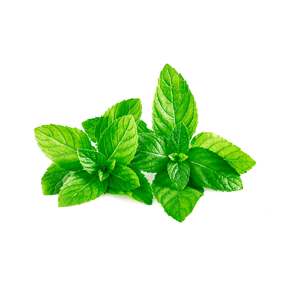 Bio-Safe-One-Inc-Peppermint-Playtime-soap-1x-Front-organic-soap-Peppermint-soap-All-natural-soap-handmade-soap-bali-soap-dove3