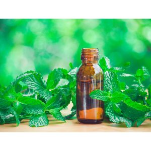 Bio-Safe-One-Inc-Peppermint-Playtime-soap-1x-Front-organic-soap-Peppermint-soap-All-natural-soap-handmade-soap-bali-soap-dove5