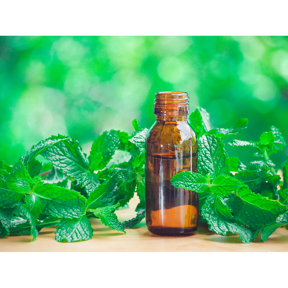 Bio-Safe-One-Inc-Peppermint-Playtime-soap-1x-Front-organic-soap-Peppermint-soap-All-natural-soap-handmade-soap-bali-soap-dove5