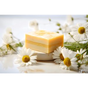 Bio-Safe-One-Inc-Powerful-Prairie-Sage-soap-1x-Front-organic-soap-prairie-sage-soap-All-natural-soap-handmade-soap-bali-soap-dove1