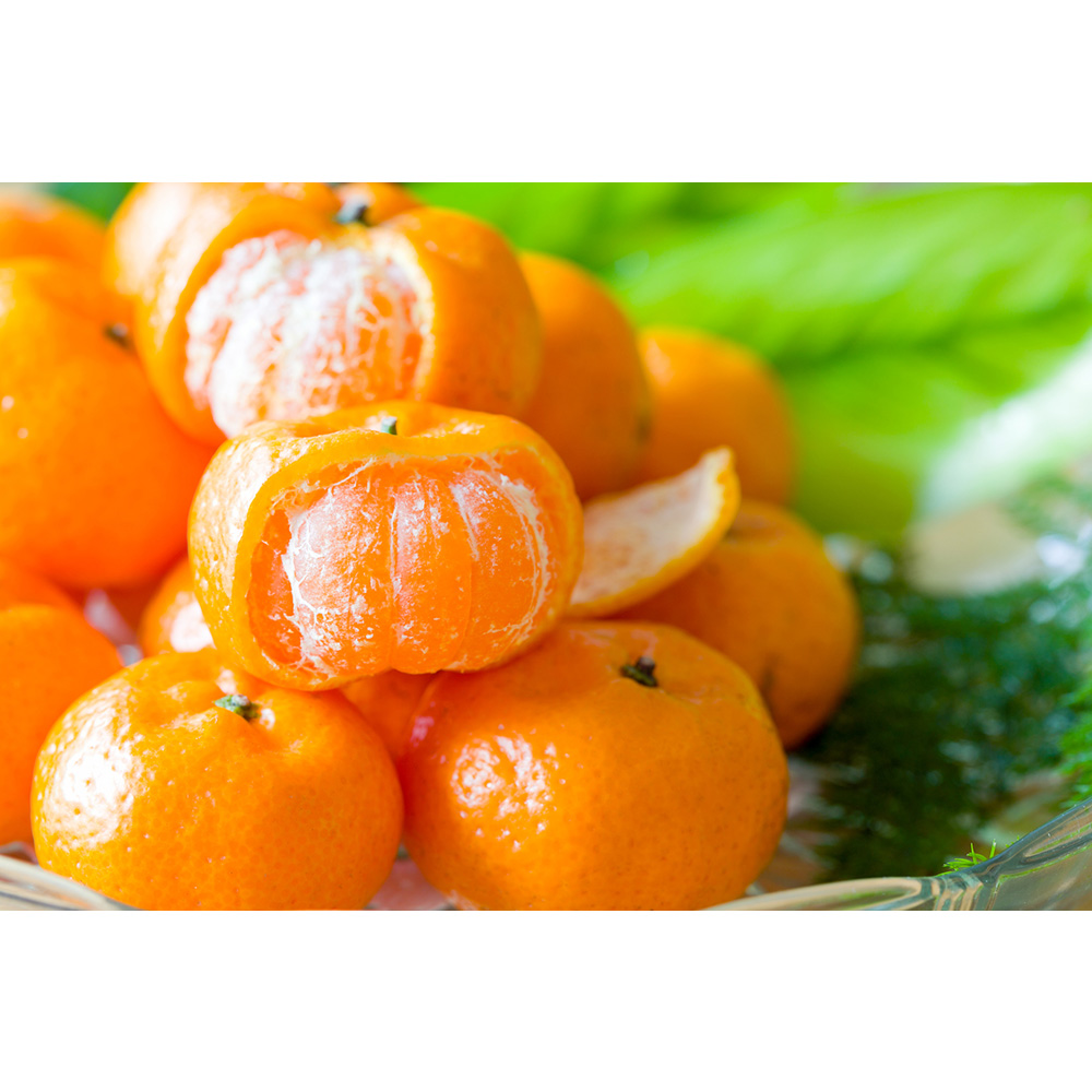 Bio-Safe-One-Inc-Tangerine-Wonder-organic-soap-1x-Front-organic-Tangerine-soap-All-natural-soap-handmade-soap-bali-soap-dove5